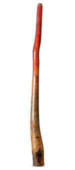 Tristan O'Meara Didgeridoo (TM442)